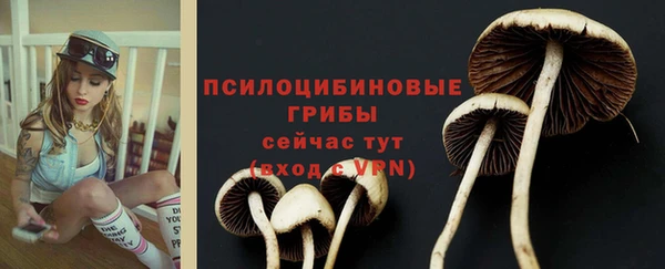 МДПВ Михайловка