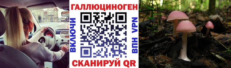 Галлюциногенные грибы Magic Shrooms  Мещовск 